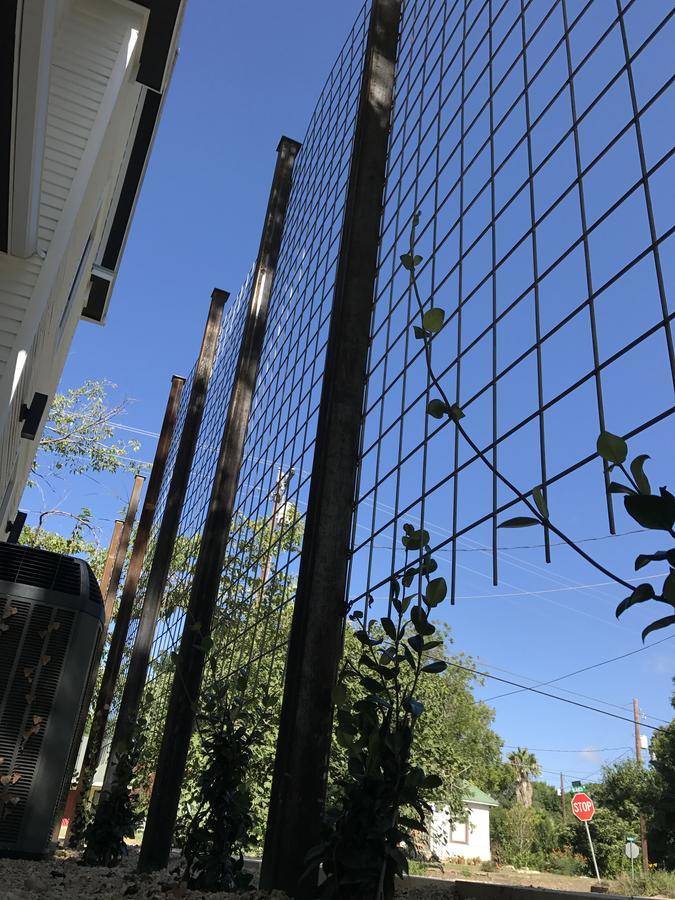 فندق Lockhartفي  Ellison House المظهر الخارجي الصورة